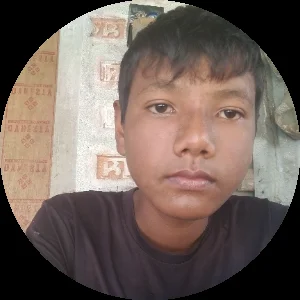 @zomi1995